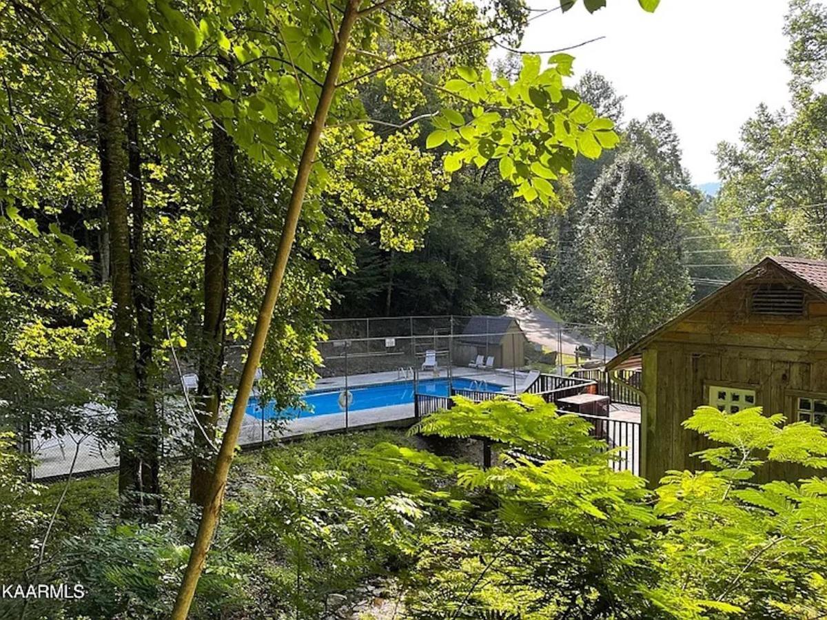 Hawks View Gatlinburg Mountain Cabin Exteriér fotografie